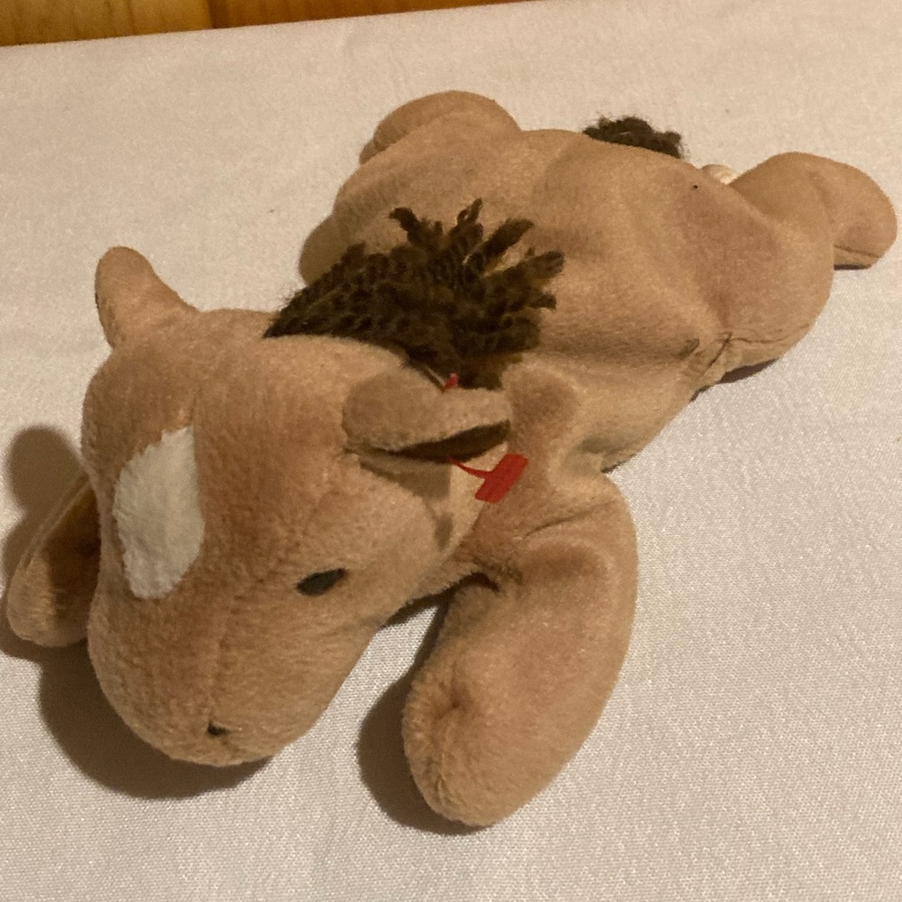 Ty horse